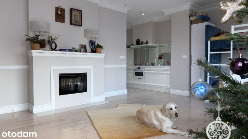 ul. Jara, Zawady, Wilanów, Warszawa, mazowieckie