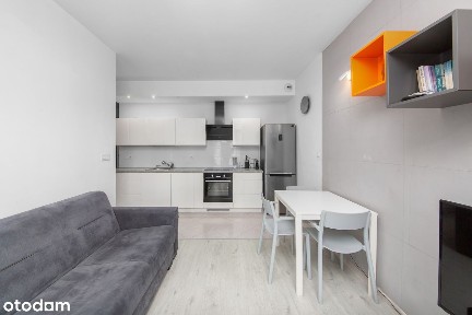 Na pół roku lub rok | Centrum | Walońska | SPA | Siłownia