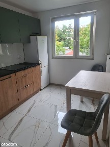 Mieszkanie do wynajejęcia Wrocław ścisłe centrum