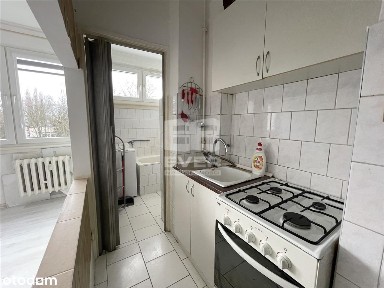 Kawalerka - Wańkowicza!