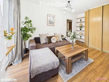 Kawalerka podzielona na salon i sypialnię- Północ