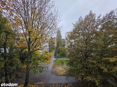 Przytulne 3 pokoje po remoncie - Kraków