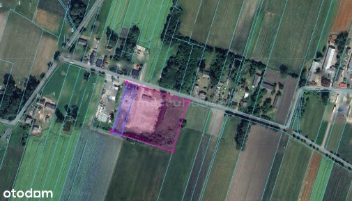 Baza Transportowa ( dz. 1,6 ha) w Chąśnie Drugim