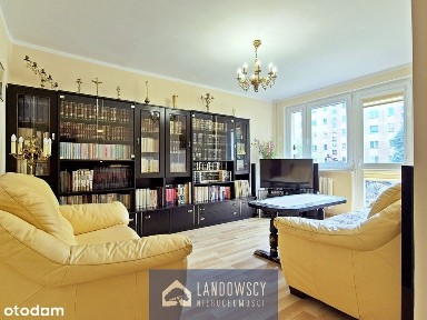 Słoneczne, wygodne i świetnie położone