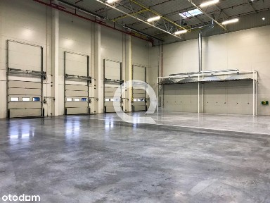 A-Klasowy Magazyn W Woj. Lubuskim Przy A18