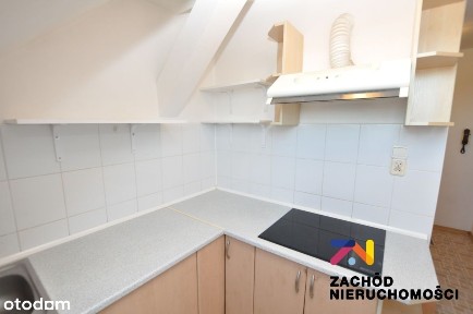 Mieszkanie w centrum do wynajęcia
