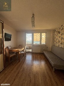 Ładne 3 pok. przy Uniwersytecie Przyrodniczym