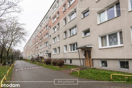 Hit cenowy! Rewelacyjna okolica!