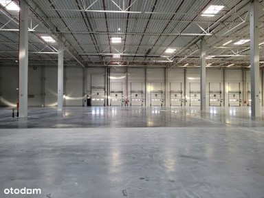 Hala/Magazyn, 8 000 m², Poznań