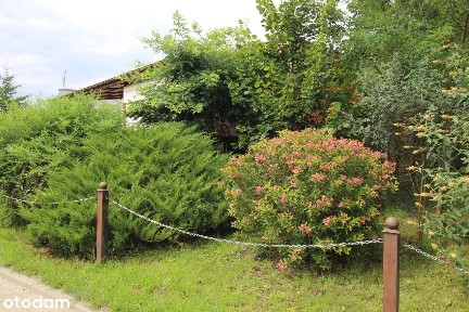 Orłowo, Płużnica, wąbrzeski, kujawsko-pomorskie