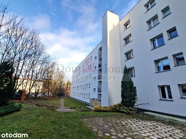 świetna lokalizacja |potencjał inwestycyjny|