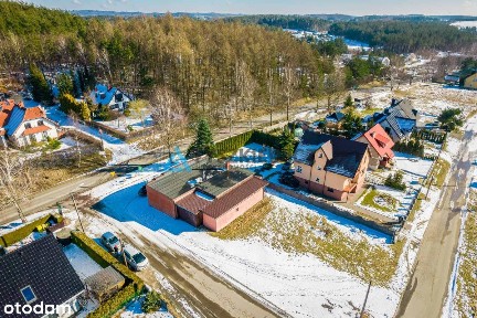 Lokal na wynajem w pięknym Gołubiu