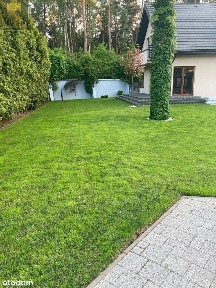 Legionowo, legionowski, mazowieckie