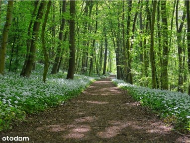 Twoje mieszkanie z ogródkiem - 4 pokoje, parter, komfort każdego dnia