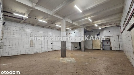 Biała Krakowska, Bielsko-Biała, śląskie