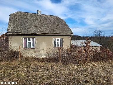 Urokliwy dom na sprzedaż z dużym terenem