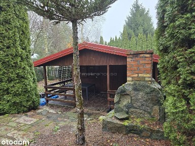 Leszcz, Dąbrówno, ostródzki, warmińsko-mazurskie