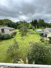 Pieniężno - miasto, Pieniężno, braniewski, warmińsko-mazurskie