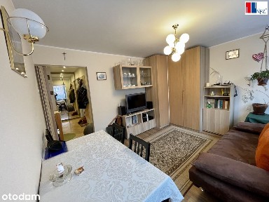 PARK Kościuszki, umeblowane, super lokalizacja