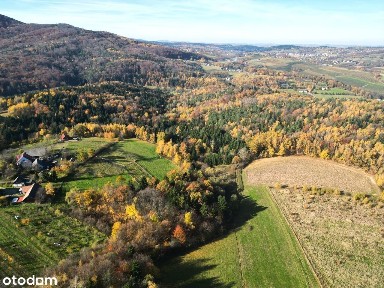 Zegartowice, Raciechowice, myślenicki, małopolskie