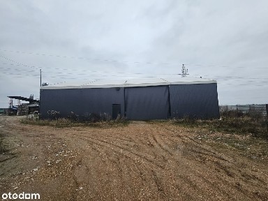 Hala namiotowa do przeniesienia cena netto 96 000,00zł