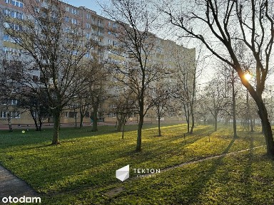 Funkcjonalne 2 pokoje do remontu, Łódź Zarzew