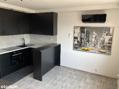 Do wynajęcia przytulne, słoneczne jedno pokojowe