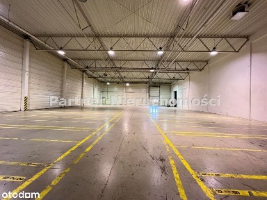 Hala 3200 M! Rampy! Ogrzewana!