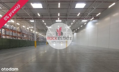 Magazyn w Robakowie od zaraz - 0% prowizji