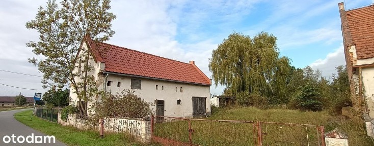 Kuźnica Ligocka, Korfantów, nyski, opolskie
