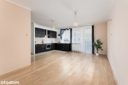 Przestronne 2 pokoje | Duży salon | Blisko Komunikacji |