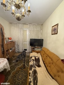 Mieszkanie pod wynajem