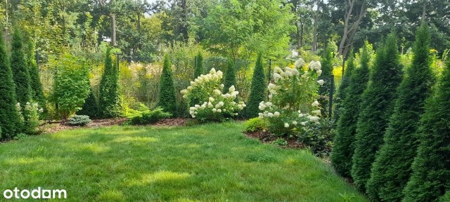 Nowe 52m z ogródkiem w centrum MIlanówka