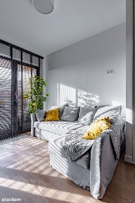 2 pokoje + biuro, bezpośrednio