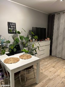 Sprzedam bezpośrednio mieszkanie z zewnętrznym miejscem parkingowym.