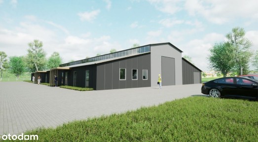 Polkowice, polkowicki, dolnośląskie