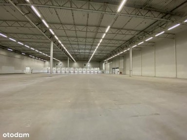 Nowoczesny magazyn na wynajem we Wrześni