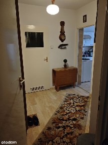 Przytulne 1-pokojowe mieszkanie z balkonem