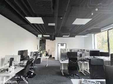 ul. Wał Miedzeszyński, Las, Wawer, Warszawa, mazowieckie