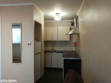 Poznań Jeżyce Kawalerka balkon Sołacz Uniwersytet Przyrodniczy