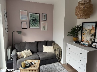 Duża kawalerka z aneksem sypialnym, ogródkiem - Osiedle IDEA