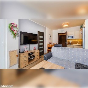 Wynajem 1-pokojowego mieszkania