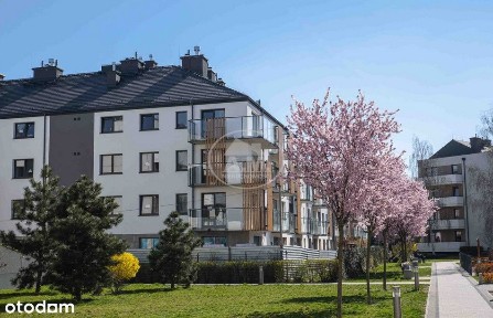 Świetne na start Spokojna zielona okolica