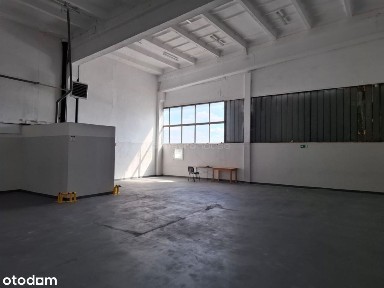 Wynajem hali w Toruniu o powierzchni 1518,4 m2.