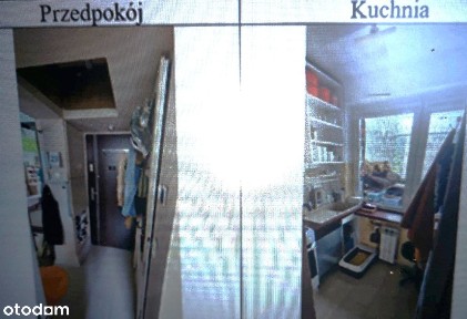 Syndyk sprzeda 1/2 udziału w nieruchomości