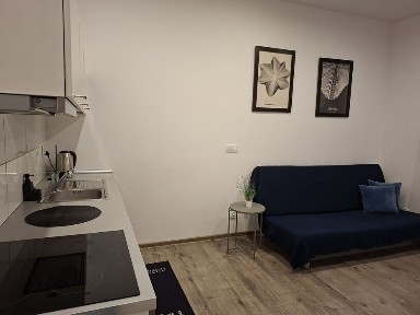 Wynajme dużą kawalerke w centru Katowic - Ul. Słowackiego