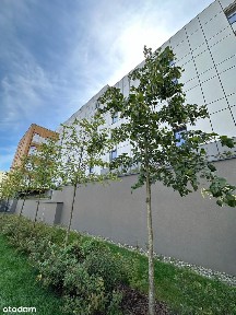 biuro sprzedaży bezpośrednio / dni otwarte z bonusami