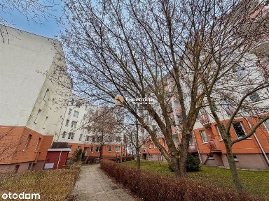 Bydgoskie Przedmieście, Toruń, kujawsko-pomorskie