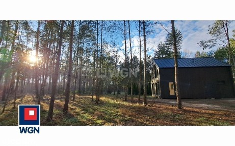 Owczegłowy, Rogoźno, obornicki, wielkopolskie