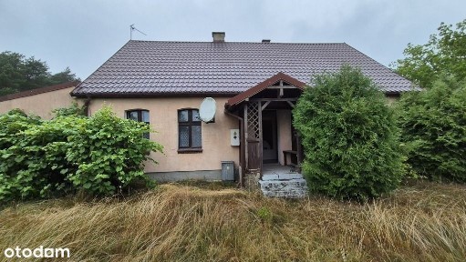 Chojno-Błota Małe, Wronki, szamotulski, wielkopolskie